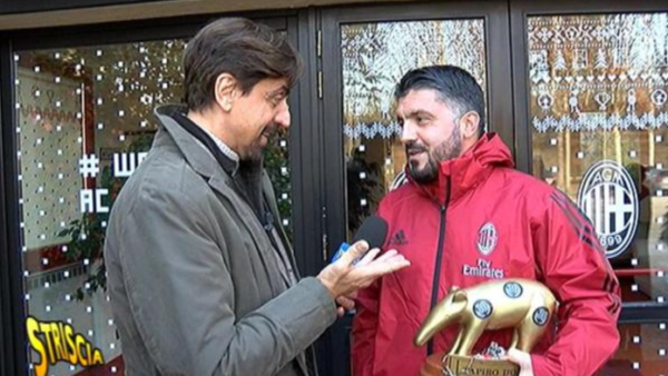 Gattuso Tapiro