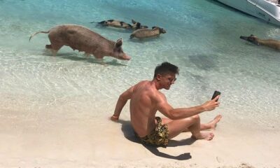 IMG 20190625 201234 696x391