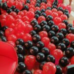 Covelli (Milan Club Crotone): «Il Milan non è Ibra-dipendente» 37 IMG 20200926 WA0030