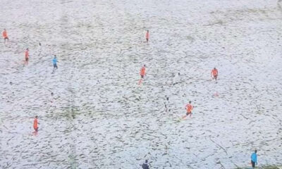 IMG 20210116 211019 696x391