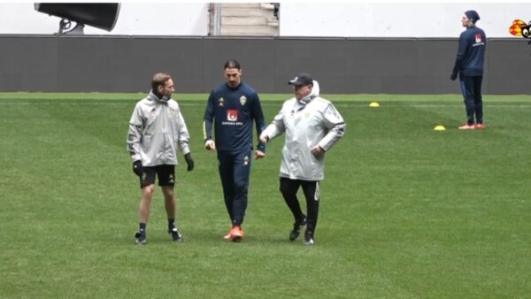 Ibrahimovic (3) (2)