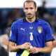 Chiellini AS06232 1 560x600 1