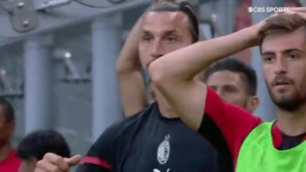 Ibrahimovic reazione