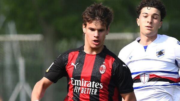 Kerkez milan primavera