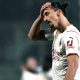 Ibrahimovic PAP 1570 1