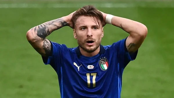 Immobile MG6 1181