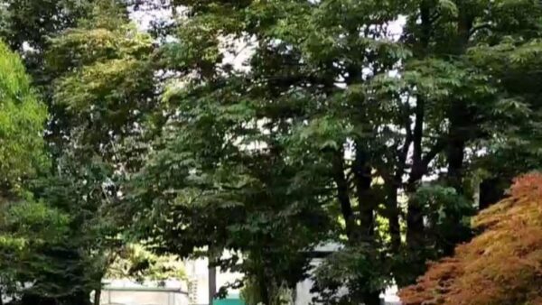 WhatsApp Image 2022 08 02 at 09.32.09