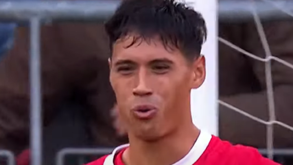 reijnders