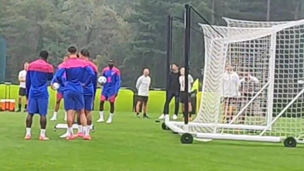 ibrahimovic-pioli