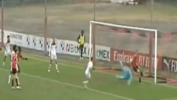 Camarda gol
