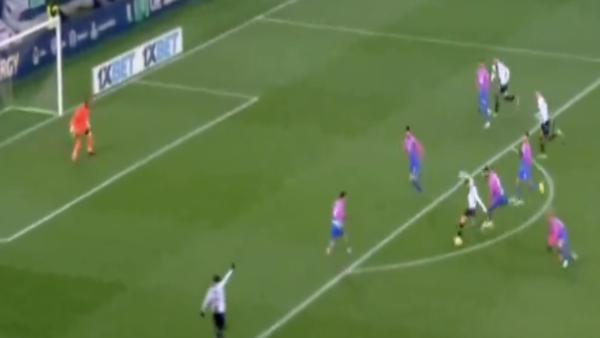 Gol Samardzic