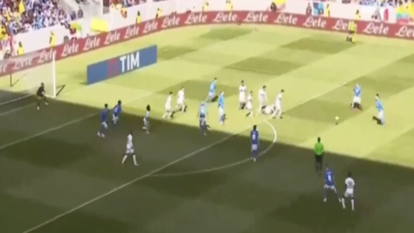 Gol pellegrini