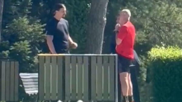 Ibrahimovic Pioli