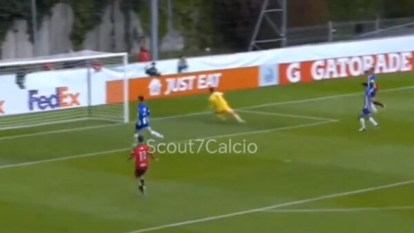 gol scotti