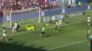 Gol Jovic, i rossoneri ritornano in partita: il Milan la riapre ancora una volta contro il Sassuolo – VIDEO