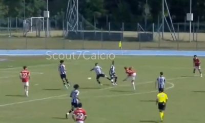 maximilian ibrahimovic