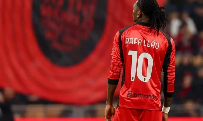 Leao girato di spalle