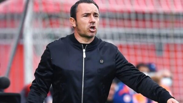 Brocchi