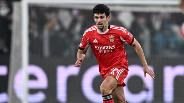 Araujo
